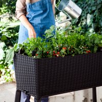  Keter Easy Grow,  