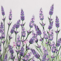    "" Lavender 40146 , 100% ,  190 /2