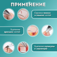  ,   ,  , 13 ,  -17 , , 