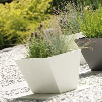    Prosperplast Tubus Case 38,6, 