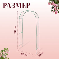 ���� �������, 230 125 50 ��, ��� �������� ��������, �������������, ������, ������, Greengo