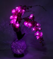 Lp-12  .  Led-