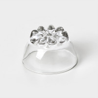    Azalea, D=10,5 , 270 , 6 