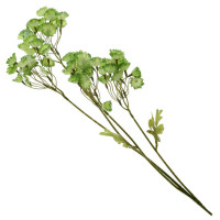 ������ �������������, L12 W11 H78 ��