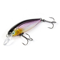  . Lj Pro Series Basara Sp, 4 ,  103