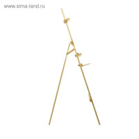    175  62 , ( 60  12 ,   ),  ,  , Calligrata 7