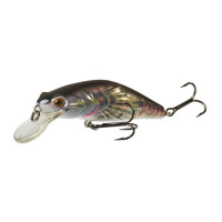  Lj Original Bullhead Sp, 6.5 ,  Bh04