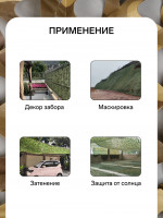 ����� �������������, 3 2 �, ���������, ����������, Greengo