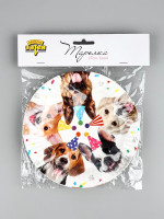 ������� ����������� �������� 17 �� 6 ��.