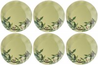     26   6  Bronco , ,  ,  , 6 