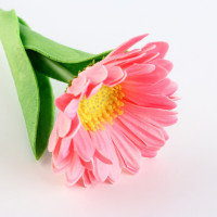 ����� ������, ���������, ����� �����, 1.0 �� �8 �����: ������� �������