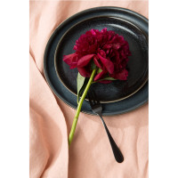   Liberty Jones Cosmic Kitchen, 26 