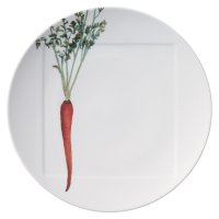   Noritake    27
