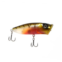  Namazu Blaster Long, 8.5 , 19.5 , , ,  17