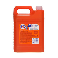   Smart Fox Color  , , 5 