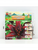   ,     , - 12/14, 3 .