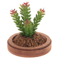 ��������� ���������� ���������, L19 W19 H24 ��