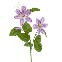 ������ ������������� ��������, L17 W13 H65 ��