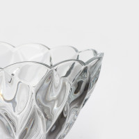 ���� ���������� ��� ������� Florence, D=24,5 ��