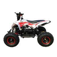 ������� ���������� ���������� Motax Gekkon 90cc 1+1 (������), ����-�������