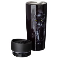 ����������� Agness ������ ������� � �������-��������� , 380�� ����� ����.�