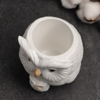 �������� ����� ��� ������ ����� � �������, 12 14 10 ��, ����, �����