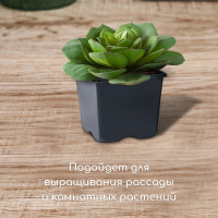   , 520 , 9 9 8 , , Greengo
