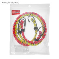     Torso, 60 , D8 ,  , ,  2 