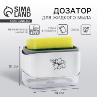  -   ,     , 14  10 .