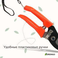  , 7 (18 ),   , Greengo