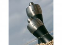  Fidji Peugeot  , 15 ,  