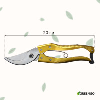 ������� �����������, 8 (20 ��), � �������������� �������, ����, Greengo