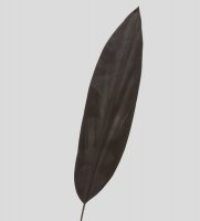 Tr 573  
