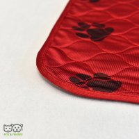 Pf-pad-02 -    6040 