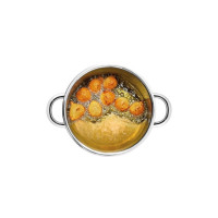    Tescoma Grandchef, D=10 