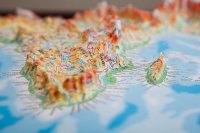 3d   The World