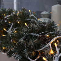   10 , Ip44, ,  , 100 Led,  , 220 