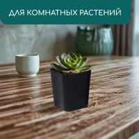   , 300 , 7.5 7.5 7.5 , , , Greengo