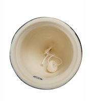 Jp-40/ 1   -    (pavone)