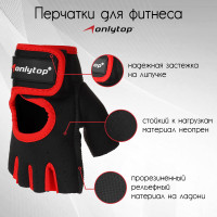   Onlytop, . S,  /