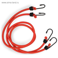     Avs Tl-06, 80 , D8 ,  ,  2 