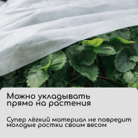  , 10 1.6 ,  30 / ,   -, , Greengo,  30%