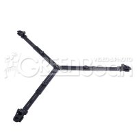   Greenbean Lowspread 01  