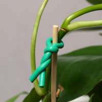  , 5 , D=3 , , Greengo