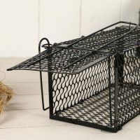 ����������, 24 X 12 X 12 ��, �������������, Greengo