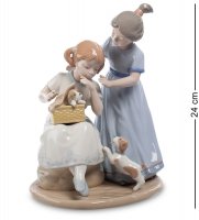 Cms-20/15     (pavone)