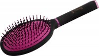  R 9551 Picta    24,5    (12/120)