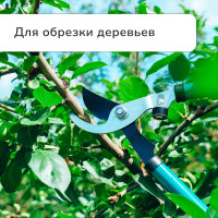  , 22.533 (5784 ), ,   , Greengo