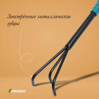  Greengo,  36 , 3 ,  