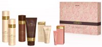  Ch/acb Chocolatier Assorti Chocolate Bar (++/+
